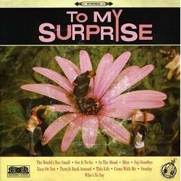 TO MY SURPRISE - To My Surprise (CD)