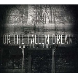 FOR THE FALLEN DREAMS - Wasted Youth (CD)