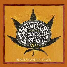 BRANT BJORK & THE LOW DESERT PUNK BAND - Black Power Flower (CD)