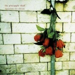 THE PINEAPPLE THIEF - Variations On A Dream (180g) (2LP)