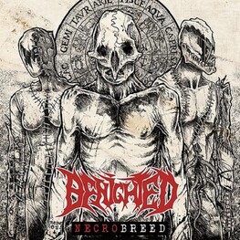 BENIGHTED - Necrobreed (CD)