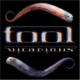TOOL - Vicarious (DVD)