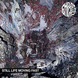EMPRESS AD - Still Life Moving Fast (CD)