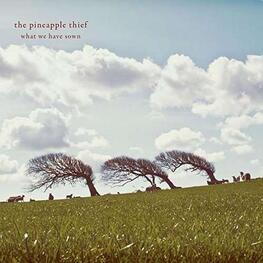 THE PINEAPPLE THIEF - What We Have Sown (CD)