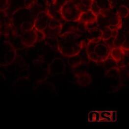 OSI - Blood (CD)