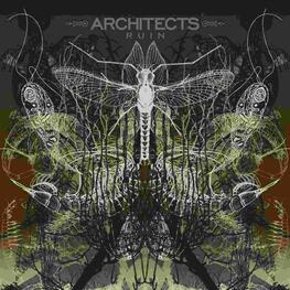 ARCHITECTS - Ruin (LP)