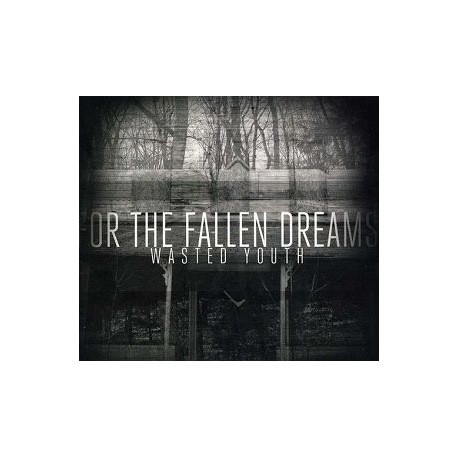 FOR THE FALLEN DREAMS - Wasted Youth (CD)