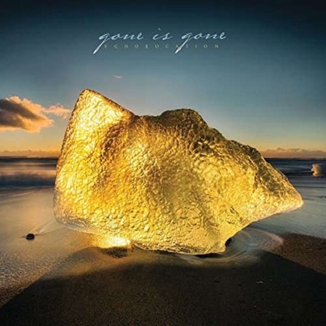 GONE IS GONE - Echolocation (LP)