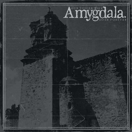 AMYGDALA - Our Voices Will Soar Forever (LP)