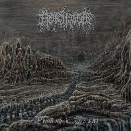 MORTIFERUM - Preserved In Torment (Vinyl) (LP)