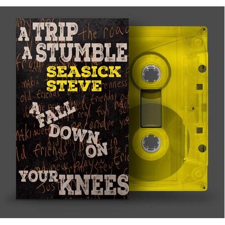 SEASICK STEVE - A Trip A Stumble A Fall Down On Your Knees (MC)